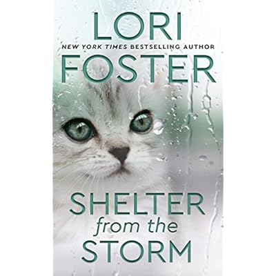 Shelter from the Storm