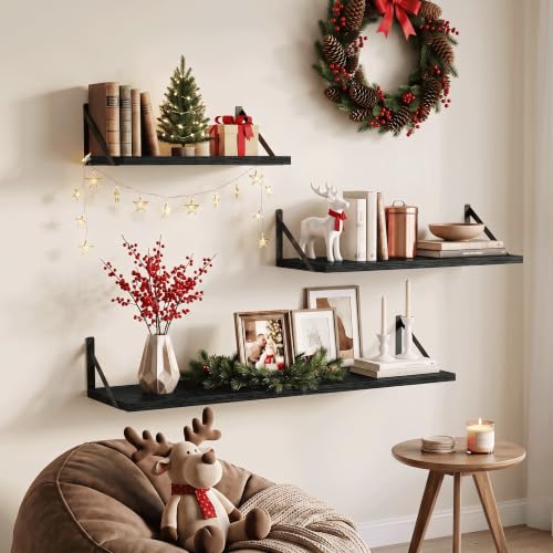 Fun Memories Schweberegal, 40 x 20 cm, 2er Set Wandregal mit Metallhalterungen, dekoratives Wandregal für Wohnzimmer, Schlafzimmer… – Ansicht 4