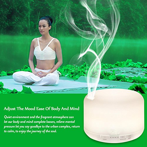 Pure Source India 2 in 1 Ultrasonic Aroma Diffuser and Humidifier with