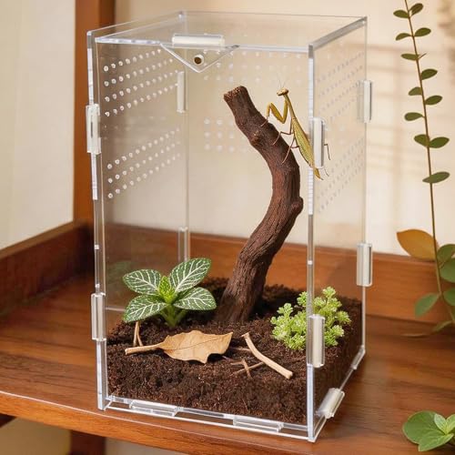 Image of Portable Travel Jumping Spider Enclosure, Acrylic Terrarium for Spider, Magnetic Lock Spider Habitat & Small Terrarium Ventilated for Tarantula,Mantis,Frog,Insect Enclosure cage (4.7x4.7x7.9 Inch)
