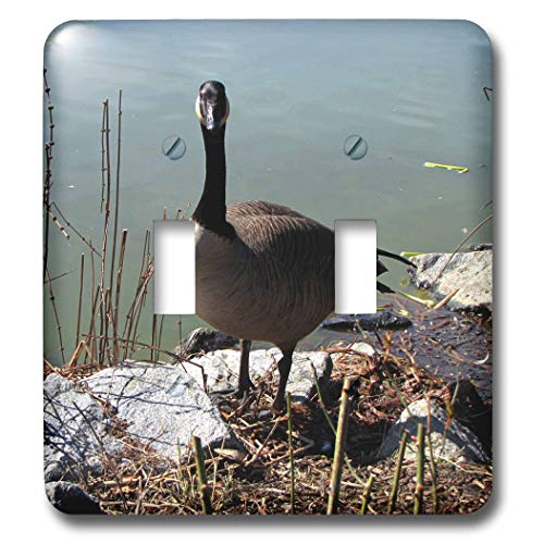 Interrupteur à bascule Canada Goose pour sublimer l'ambiance chalet de votre salon rustique