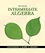Student Solutions Manual for Gustafson/Karr/Masseys Intermediate Algebra, 9th