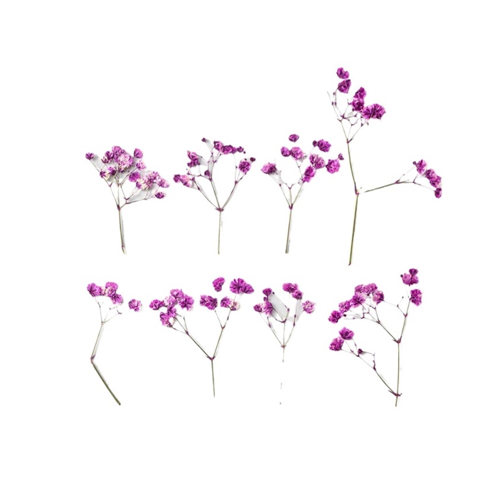 WJIAYAO dried gypsophila flowers 24pcs/4-6cm, Pressed Gypsophila Paniculata Flower Branches,Dried Babysbreath DIY Photo Frame Bookmark Drip Glue Phone Case(Color9)