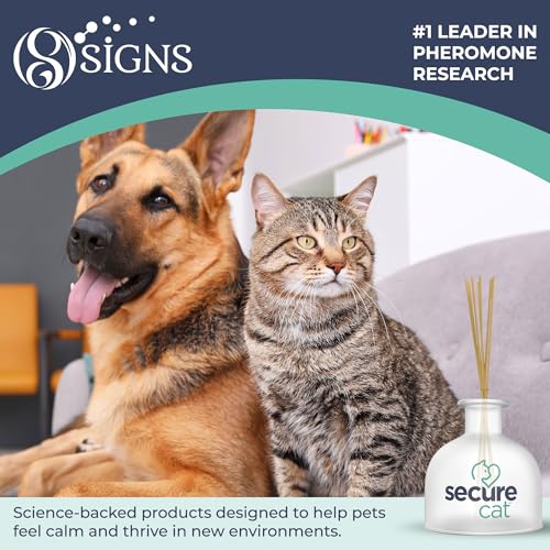 Image of SIGNS SecureCat Calming Diffuser for Supporting Calm and Well-Being to Help Relieve Any Feeling of Anxiety or Stress, Cat Pheromone Passive Stick Diffuser Home Starter Kit