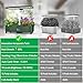 Hydroponics Growing System Kit Indoor: Aeroponics Herb Garden Kit 15 Pods, 3 Grow Modes, 24H Timer Hydroponic Gardening System, Quiet Smart Water Pump Hydroponic Planter for Home Kitchen Office