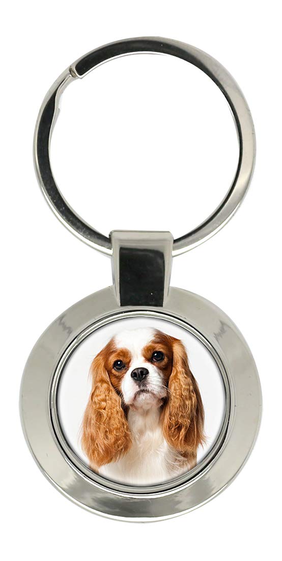 Giftshop Uk Unisex Silver Coloured Metal Cavalier King Charles Spaniel Key Ring