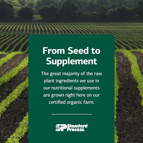 Standard Process Wheat Germ Oil Fortified - Immune Support Supplement to Aid Antioxidant Activity - Gluten-Free, Non-Dairy & Non-Soy - 80 Softgels (80 Servings)