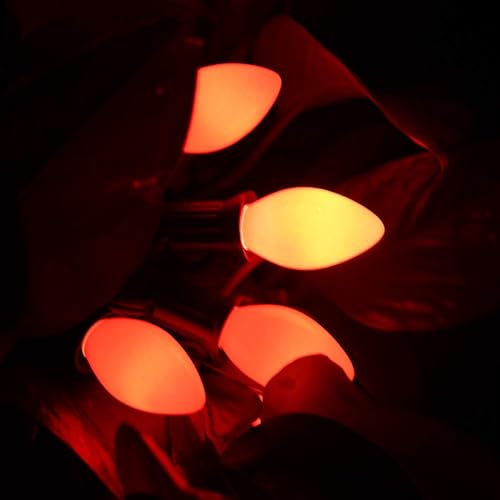 Vista 20 de GOOTHY Paquete de 25 bombillas de repuesto C7 multicolor de Navidad, bombillas de cerámica multicolor para Navidad, exteriores, patio