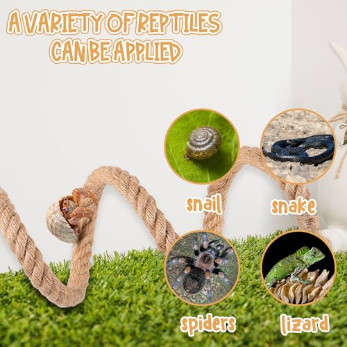 Image of Hermit Crab Climbing Toys, Bendable Hermit Crab Climbing Rope Ladder with 2 Suction Cup, Hermit Crab Supplies, Reptile Vines Toys Habitat Decor for Geckos Lizards Snakes Tree Frogs (39.4 inch)