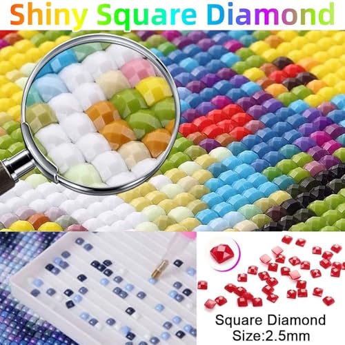 Kit Broderie Canevas Kit Complet Adulte avec strass cristal étincelants