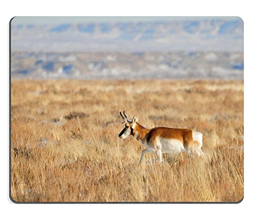 WYRUJYU Mousepad Jumping Spider Tribe plexippini Caucho Natural Material