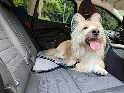 TinyPaw 2 Pack Heavy Duty Dog Seat Belt for Car, Great Dog Seat Belt with Bungee & Latch for Safety while sudden brake, All Metal Heavy Duty & Tangle-Free Attachment, Adjustable Length. (Black) - Image 7