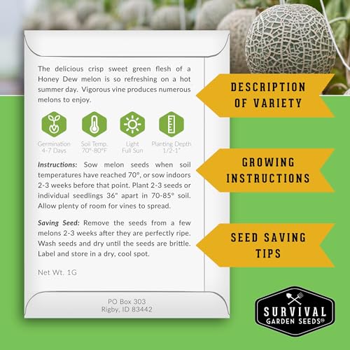 Melon Seeds for Planting, 6-Variety Pack Heirloom Fruit Collection - Image 2