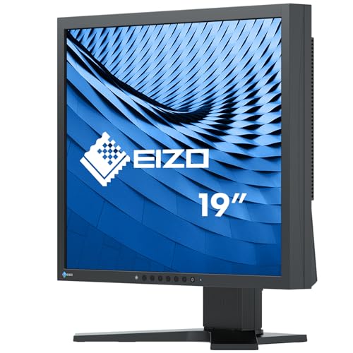 Monitor EIZO FlexScan S1934H IPS 19 pulgadas con entradas DisplayPort y VGA 2