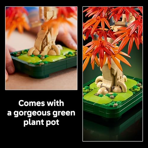LEGO Botanicals Japanese Red Maple Bonsai Tree Building Kit for Adults 18+ - Unique Home Decor DIY for Room or Office - Housewarming Gift Idea for New