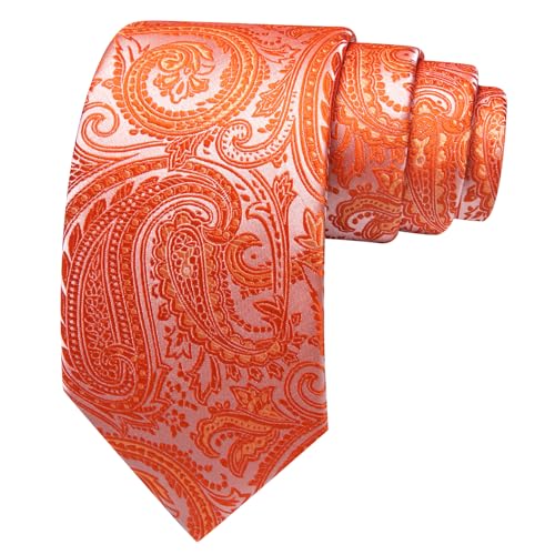 Image of Barry.Wang Paisley Tie for Men Silk Woven Necktie and Tie Clip Set Wedding Party Business Formal