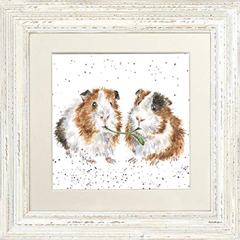 Wrendale Designs Anniversary Owls Postcard Cover