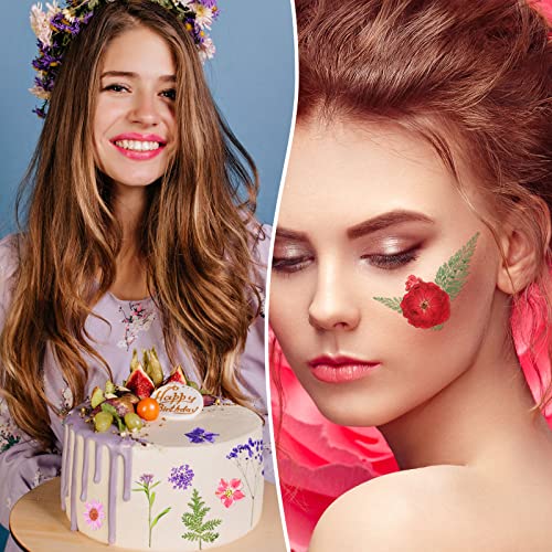 100 Flores Secas Prensadas para Manualidades DIY miniatura 4