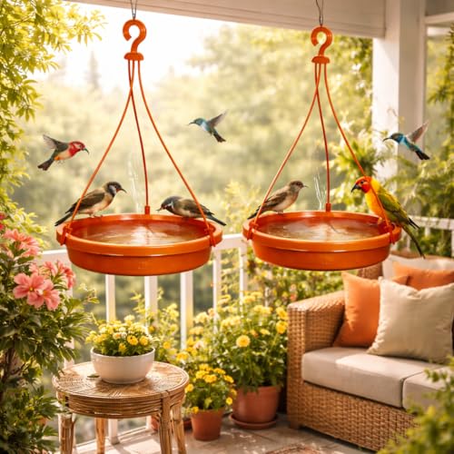 Bird Feeder Hanging Bowl Pack of 2 for Balcony & Garden | 2-in-1 ...