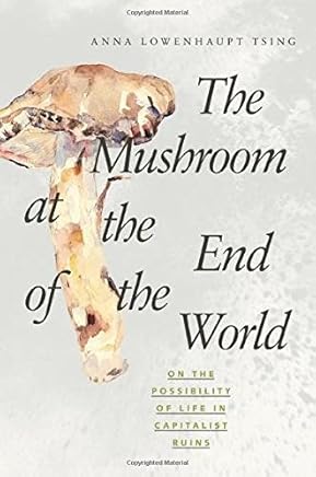 Mushroom at the End of the World : On the Possibility of Life in Capitalist Ruins