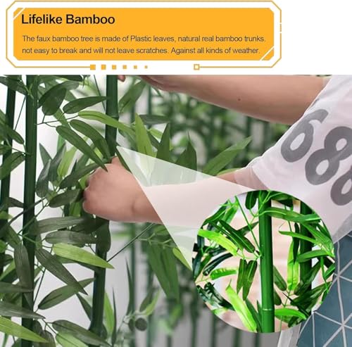 Faux bambou plus vert pour masquer un vis-à-vis intérieur de maison - 5