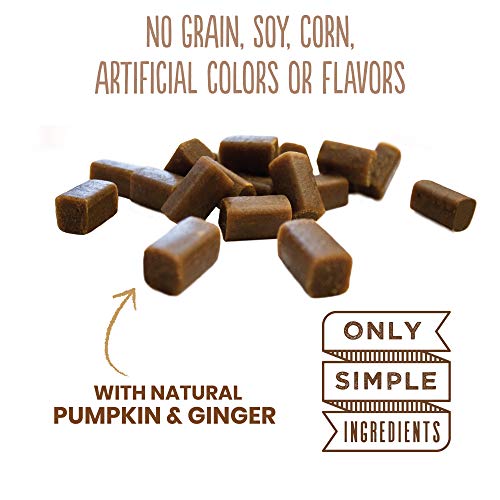 Cloud Star Dynamo Dog Tummy Treats – Soft & Chewy Probiotics Support for Dogs (14 oz. Pumpkin and Ginger)