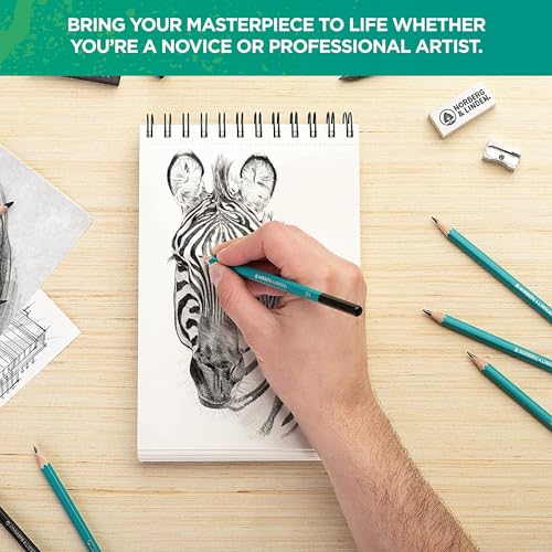 Zeichen-Set, Skizzen- und Kohle-Bleistifte, 100-Seiten-Zeichenblock mit Geknetetem Radiergummi, Art Kit und Werkzeug für Kinder, Jugendliche und Erwachsene, Sketch Set