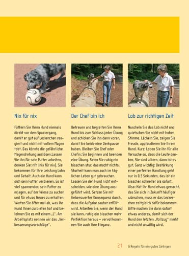 Spiel & Spaß mit Hund: Beschäftigungsideen für zu Hause und unterwegs
