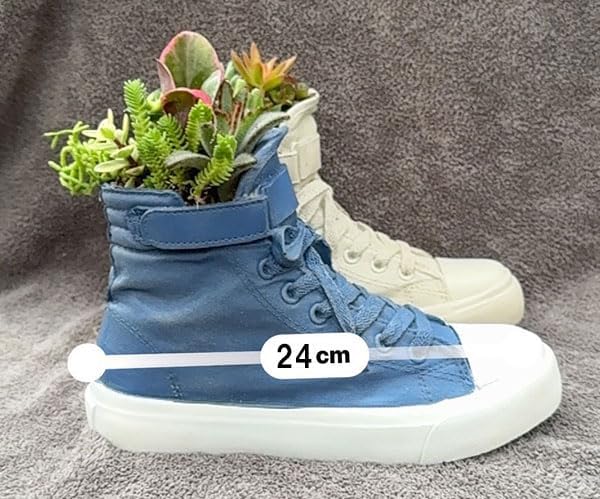 多肉寄せ植えシューズプランター白 幅24cm[カラフルな多肉植物の寄せ