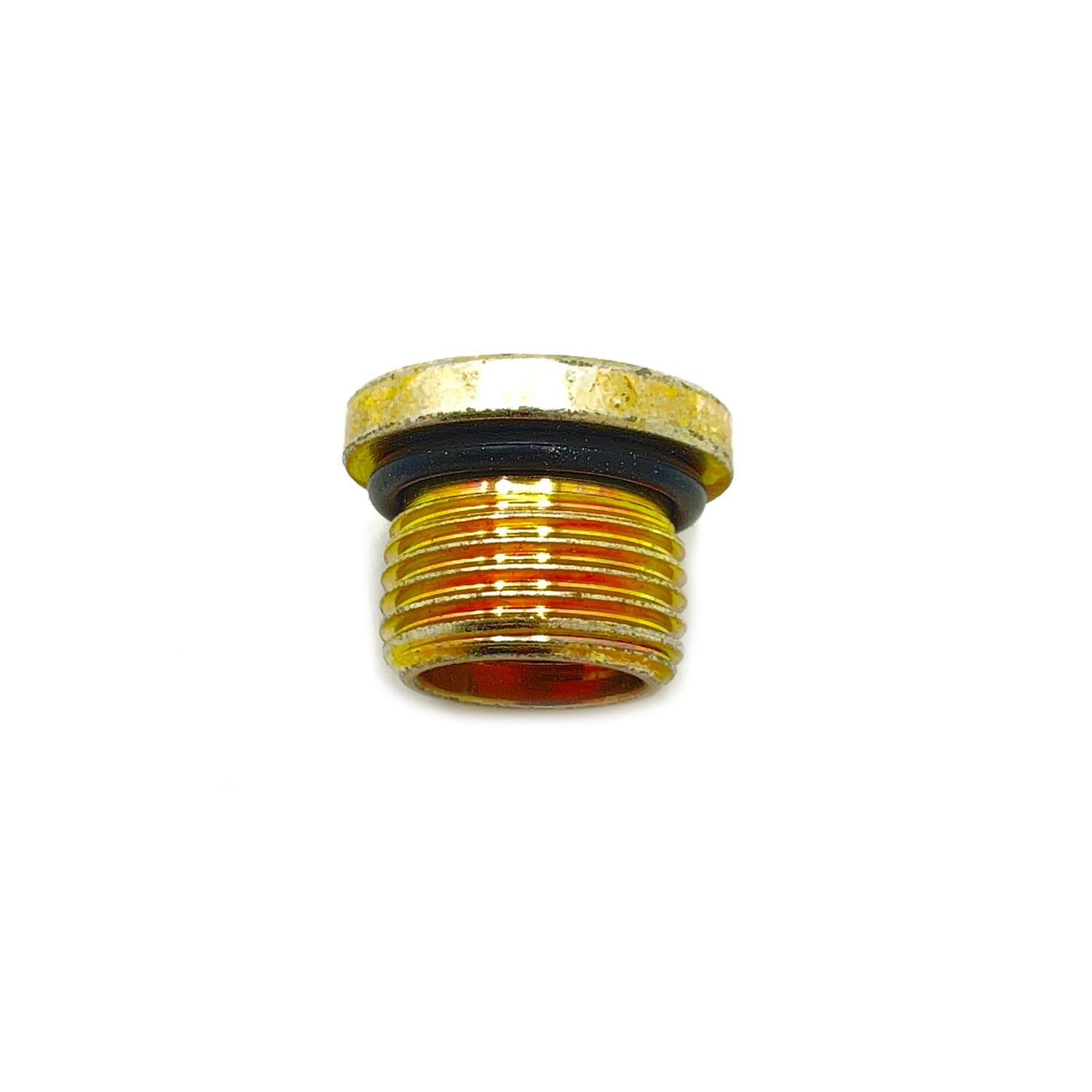 Amazon.com: Polaris GEM Socket Head Plug, 18 mm x 1.5 mm, Genuine 