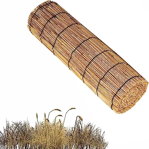 HynJGih Scherma a Lamella, Schermo for Piscina e Patio, Montaggio Facile, Schermo for Recinzione, Dimensioni Personalizzate(90 * 600cm/3 * 20ft)