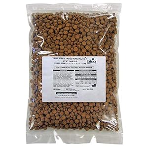 Hikari Usa Inc AHK22066 Massivore Delite 2.2-Pound