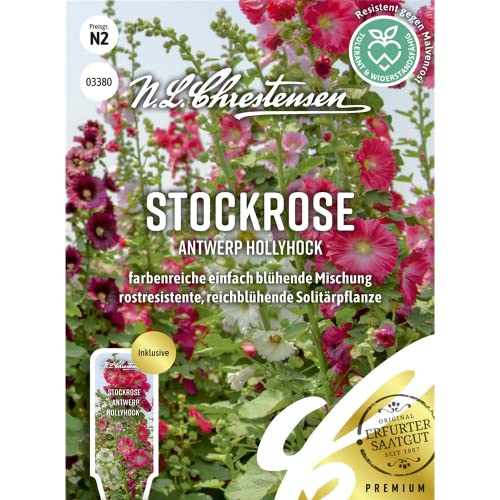Stockrose Antwerp Hollyhock, farbenreiche einfach blühende Mischung, Samen