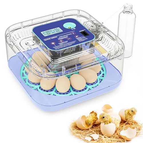 Smart Egg Incubator with Auto Turn & Humidity Control