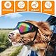 KUMSODE 1 Stück Hundebrille, Brille Hund UV-Schutz, Winddicht Hunde Brille, Sonnenbrille Hund mit Verstellbare Riemen, Hundesonnenbrille für Mittel Große Hunde, zum Autofahren,Outdoor-Aktivitäten