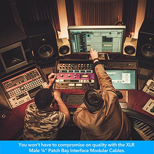 Seismic Audio Speakers Db25 To 8 Channel ¼” Xlr Male 3 Foot D-Sub Snake Cable, Patchbay Interface Modular Cable #TOP5