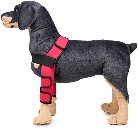 Dog Front Leg Brace Support Canine Elbow Protector Shoulder Brace Extra Supportive Joint Wrap Arthritis Healing Helps Loss of Stability Prevents Injuries Sprains Red L