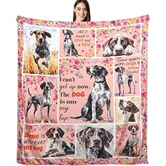 German Shorthaired Pointer 01