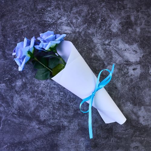 Dohe Kraftpapierrolle, Weiß, 100 cm x 25 m, 60 g/m², ECO: 100% recyceltes Papier, Verpackung und Versand – Büromaterial