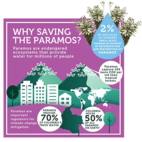 Baked Organic Beets And Yacon Chips By Good Chips! 100% Natural, Oil Free, Only Two Ingredients: Organic Beets And Yacon Root. Andean Superfood 0.7 Oz Bags, Pack Of 12 #TOP6