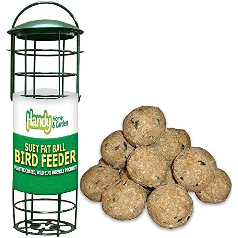 1 x Handy Home and Garden Standard Plastic Wild Bird Fat Ball Feeder with Pack of 6 Suet Fat Balls Feed Cover