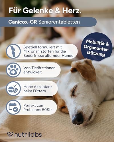 NutriLabs Canicox®-GR Tabletten für Senioren-Hunde 50 STK. - Seniorentabletten für Hunde mit MSM, Chondroitin, Glucosamin, Ginseng, Weißdorn u.v.m. - Gesundheitsprodukte für Hunde