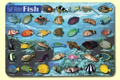 FoodFirst Saltwater Fish Placemat