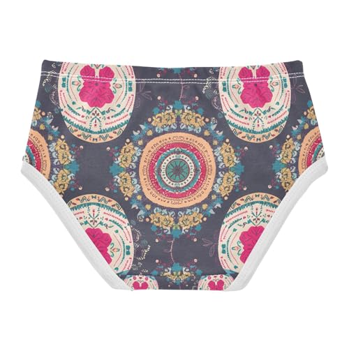 Russia Matryoshka Dolls Toddler Girls's Underwear 2T 202c12072