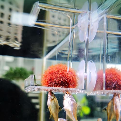 Cuenco de alimentación para peces para mantener el acuario limpio 3