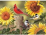 Bits and Pieces - 300 Large Piece Jigsaw Puzzle for Adults - Sunflower and Songbirds - 300 pc Cardinal Jigsaw by Artist William Vanderdasson