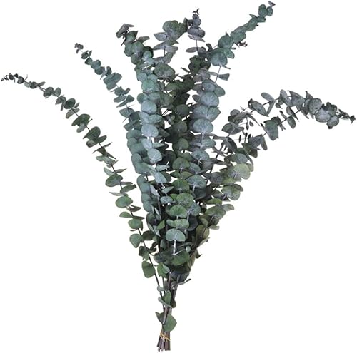 PRETYZOOM 10 piezas de eucalipto artificial Guirnaldas Artificiales para decoración de guirnalda verde, hojas de eucalipto, tallos de eucalipto