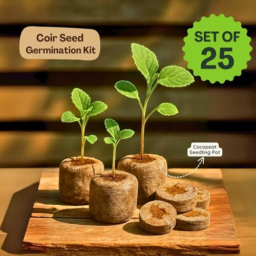 Image of Bombay Greens Organic Netted Cocopeat Coir Discs Seeds Germination pellets Coin Seedling Tray for Plants Indoor and Outdoor Gardening - Pack of 25 Coco Discs