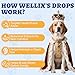 Wellix 120ml Yeast Infection Treatment for Dogs & Cats - Supports Itch,Allergy,Inflammation Relief & Immune Health - Natural Dog Ear Yeast Infection Treatment - Salmon Flavor
