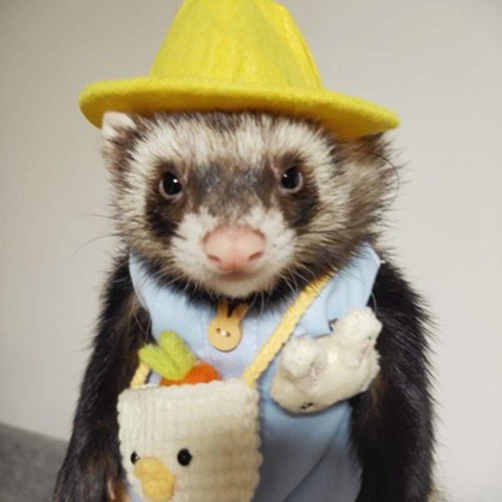 フェレットの洋服セット Amazon.com : Ferret Clothes Set Small Animal Harness and Leash